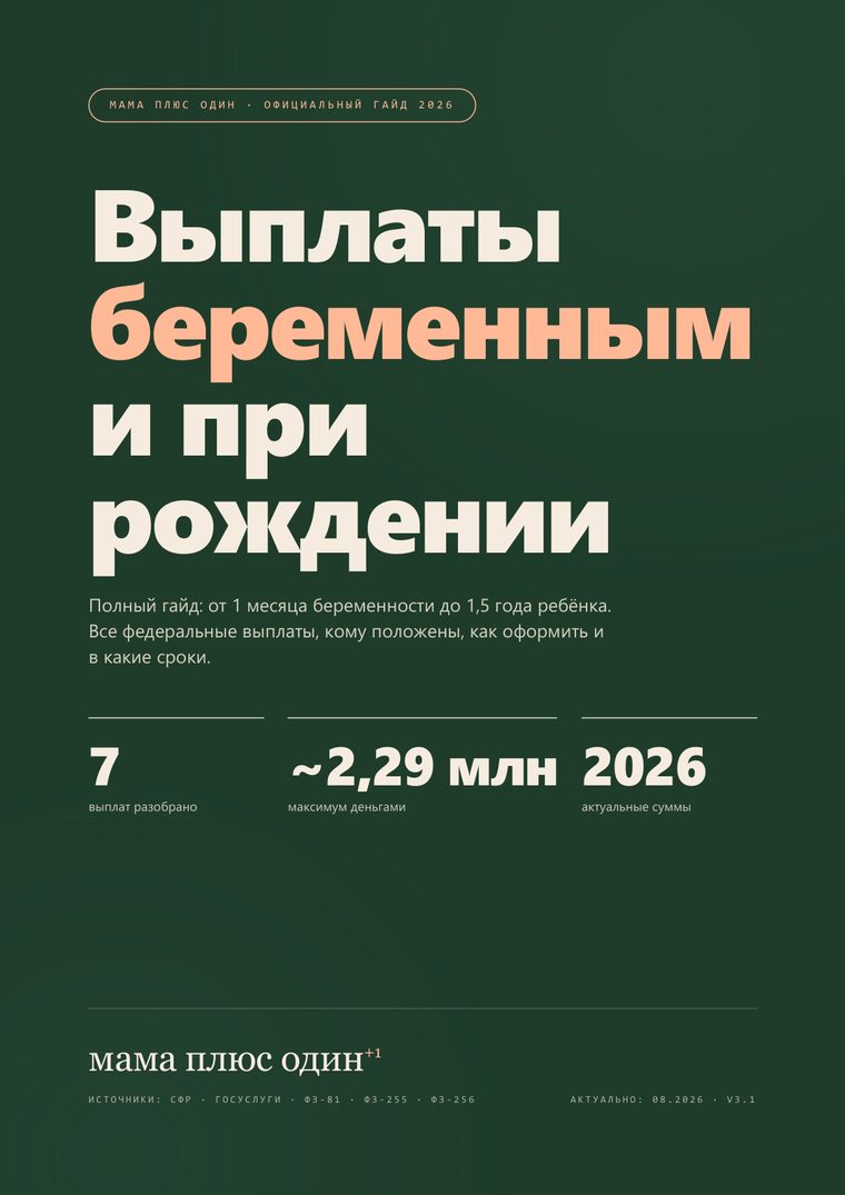 Обложка гайда «Выплаты беременным 2026»